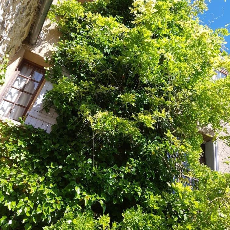 Appartement Le Balcon *